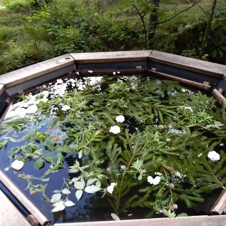 Family House Hébergement de vacances *