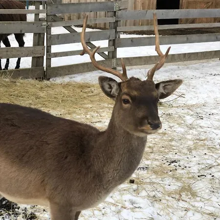 Holiday home Family House