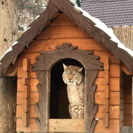 Family House Изки